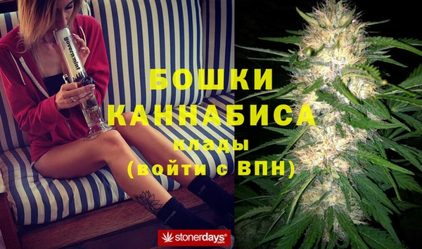PSILOCYBIN Инсар