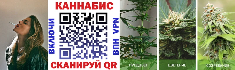 Купить где  Железногорск-Илимский  Бошки Шишки конопля 